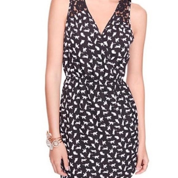 3/$20 Forever 21 Black White Cat Print Lace Dress - Picture 2 of 13